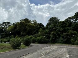 Bukit Timah Fire Station (D21), Retail #575776301